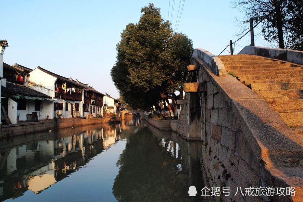 贪吃鼠吃豆豆